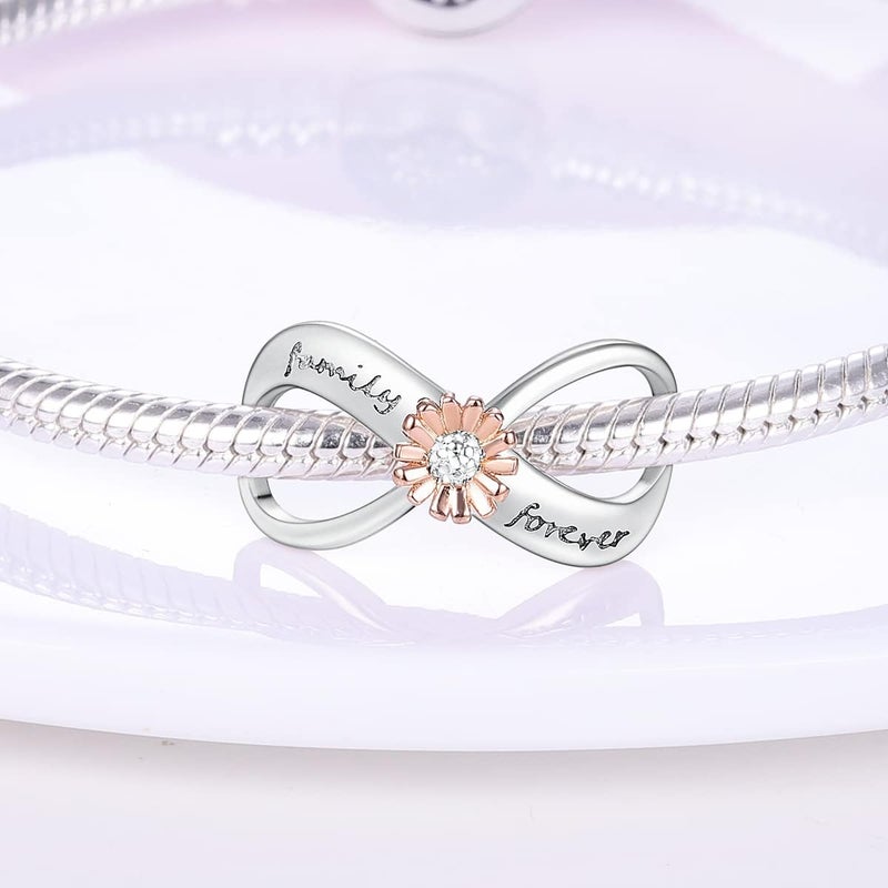 MULA 925 Sterling Silver Charms for Bracelets and Necklaces Lucky Home Happy Family Forever Love Mom Beads Dangle Pendants Jewelry for Women - Image 3